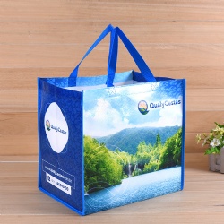 Laminated Non Woven Bag Shopping bag
