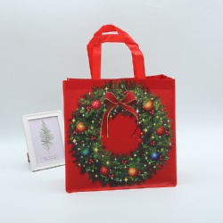 Popular Non Woven Bag