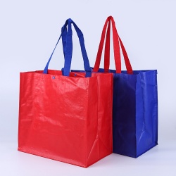 Fashion woven shopping bag