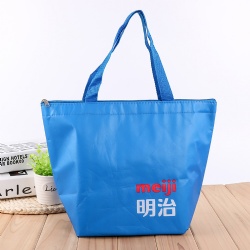 Cooler bag